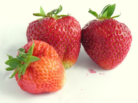 sweet and red strawberries straight form bed