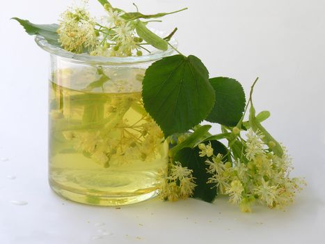 lime tree flowers as natural medicine