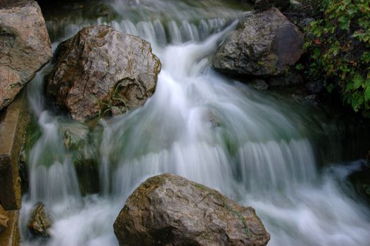 Running stream in a local botanical garden.