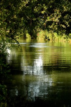 A river in Israel surrounded by trees.