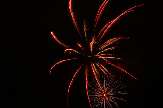 A 4th of July firework in Skokie, IL.