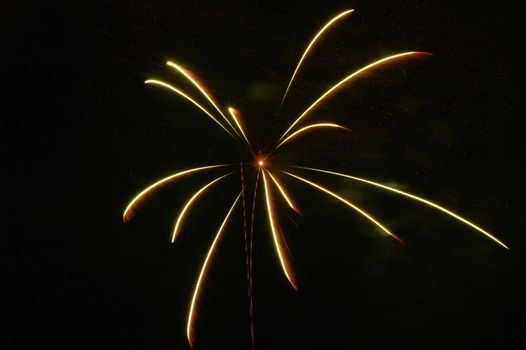 A 4th of July firework in Skokie, IL.