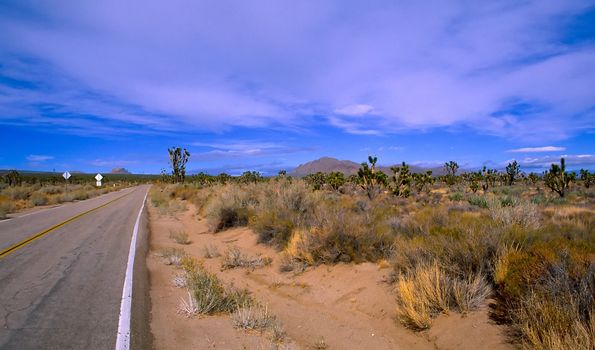 The Mojave Desert , locally referred to as the High Desert, occupies a significant portion of southern California and smaller parts of central California, southwestern Utah, southern Nevada, and northwestern Arizona, in the United States. Named after the Mohave tribe of Native Americans, it occupies well over 22,000 square miles (57,000 km�) in a typical Basin and Range topography.