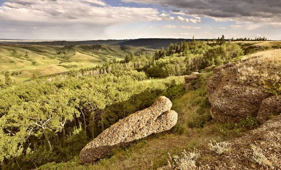 Cypress Hiils Canada conglomerate cliffs Saskatchewan view