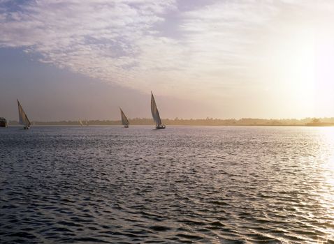 River Nile with Faluccas by sunset