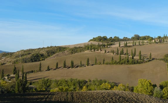 Famous curve in the road lined by cypresses near La Foce in the Val d�Orcia in Tuscany, Italy.