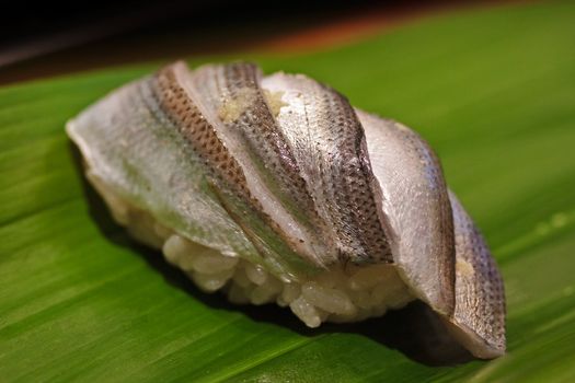 Herring sushi (kohada) on a green leaf