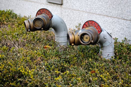 Two korean stle fire hydrants in grass