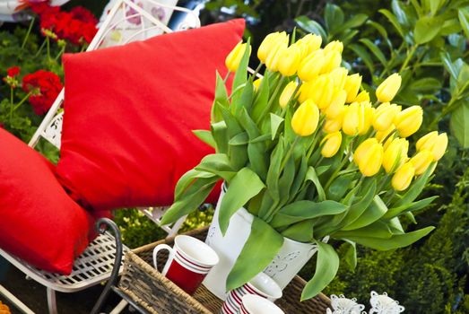 Beautiful flower yellow tulips