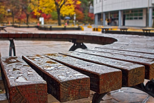 Brown wet bench in autumn park