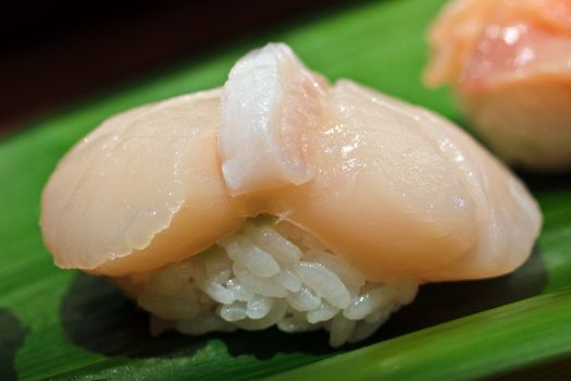 Scallop sushi (kohada) on a green leaf