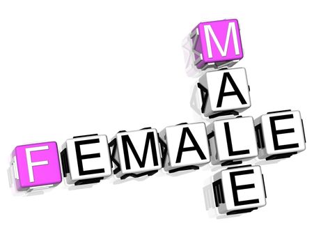 3D Male Female Crossword text on white background