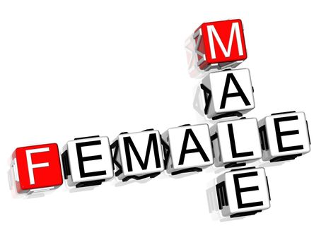 3D Male Female Crossword text on white background