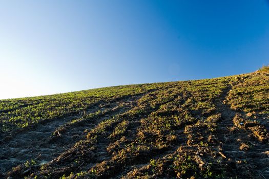 Agricultural land erosion and soil compaction in southern Brazil.