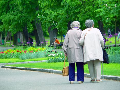 Seniors on walk in park