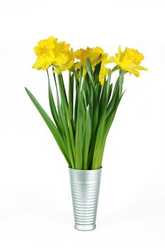 A bunch of yellow daffodils in a rigged glass vase, set on an isolated white background on a portrait format.