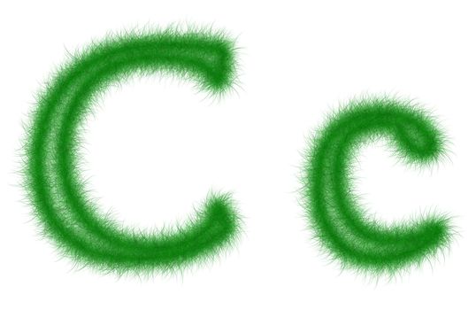 Green grass font isolated on white background