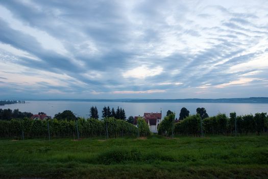 The Meersburg vineyards at the northern banks of Lake Constance, Germany