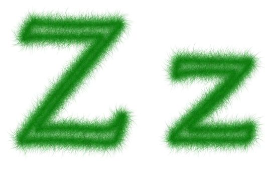 Green grass font isolated on white background