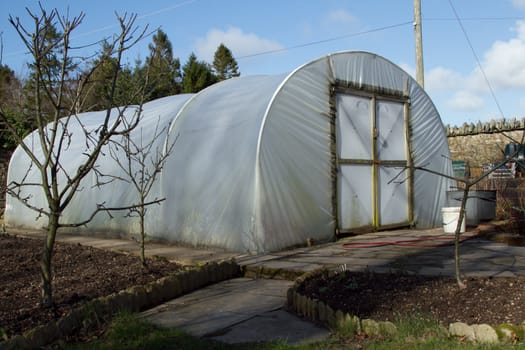 A poly tunnel situated in a garden with paving, borders and pruned apple trees in freshly dug soil.