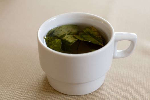 the famous coca leaf tea used for medicine