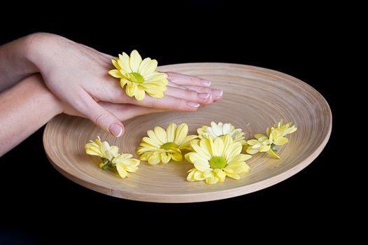 Woman hands and flower in bucket of water isolated on black