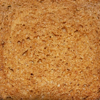 The cut of brown bread. Details of the structure close ups