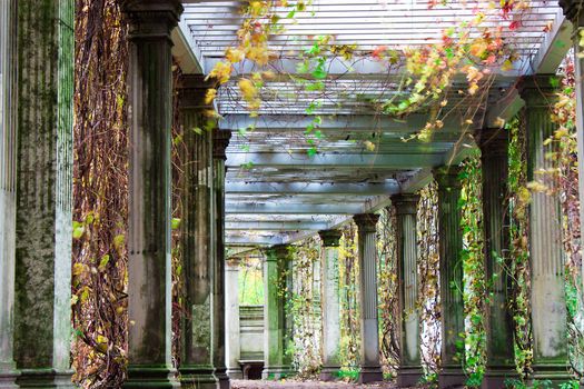 Landscape of Catherine Park Gardens Tsarskoye Selo (Pushkin), Russia