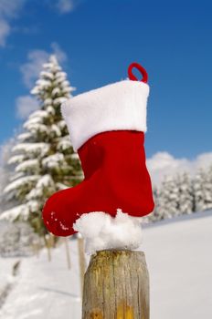 a red bauble in a winter landscape