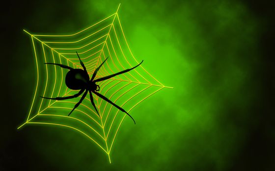 We see Spider web with big spider on green background