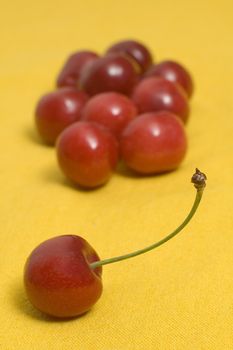 red sweet cherries on yellow background, shallow depth of view