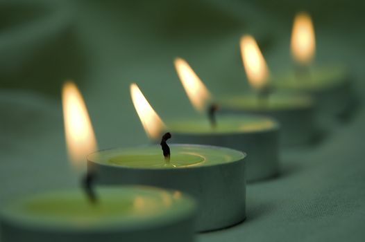 green candles detail photo, shallow depth of view