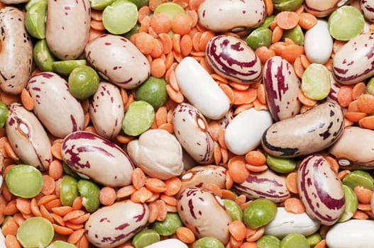 Variety of pulses essential for human life: beans, peas, lentils.