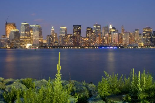 night manhattan scene, photo taken from new jersey, plants in foreground, hudson river