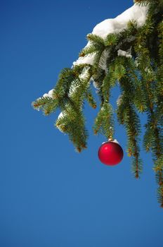 a red bauble in a winter landscape