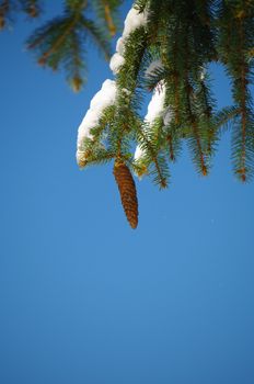 a red bauble in a winter landscape