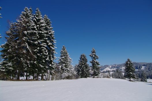 beautiful snowy winter landscape at Christmas time...