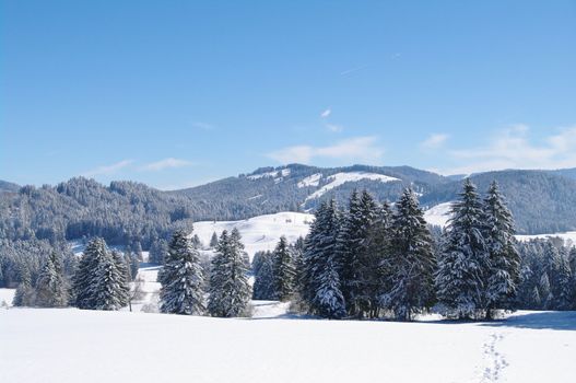 beautiful snowy winter landscape at Christmas time...