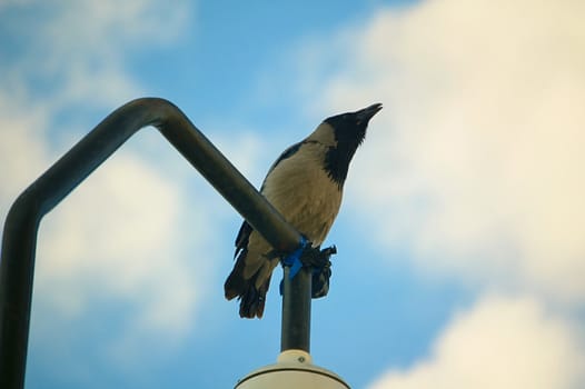 A hoodie sits on a post. Prepares to flight.