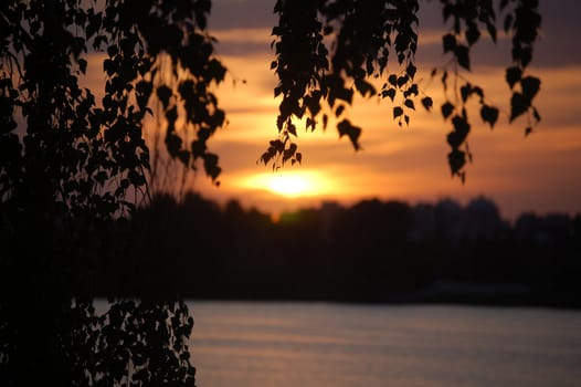 Sunset of a sun on a lake in summer.