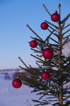 baubles  on a Christmas tree outside in a snowy landscape