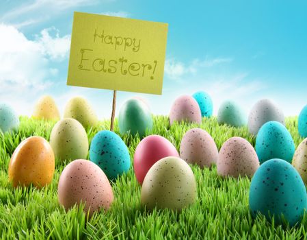 Colorful Easter eggs with sign in a grass field with blue sky
