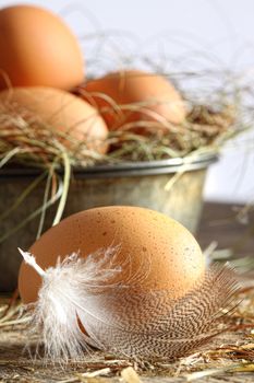 Closeup of brown speckled eggs with straw 