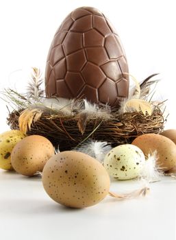 Big chocolate easter egg in nest with feathers on white