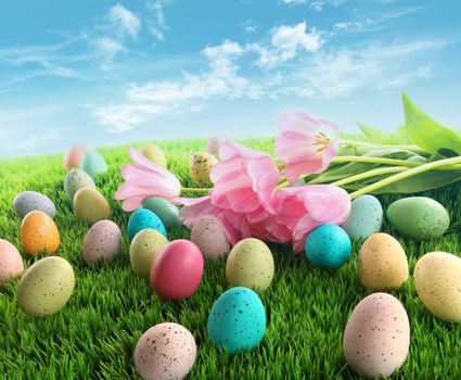 Easter eggs with pink tulips on grass with blue sky