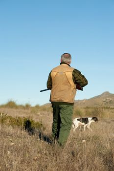 Hunter and pointer dog watching out for the prey