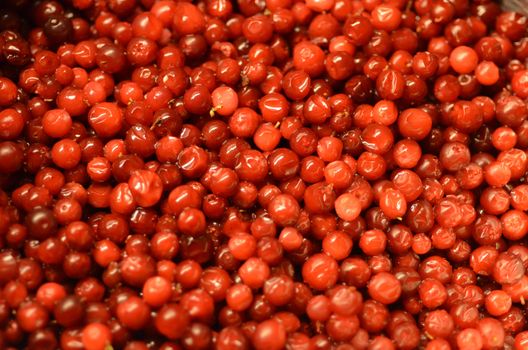 Hand picked lingonberries.