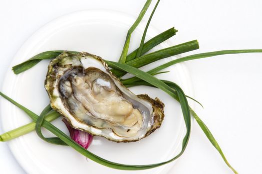 Raw oyster with green onion garnish.
