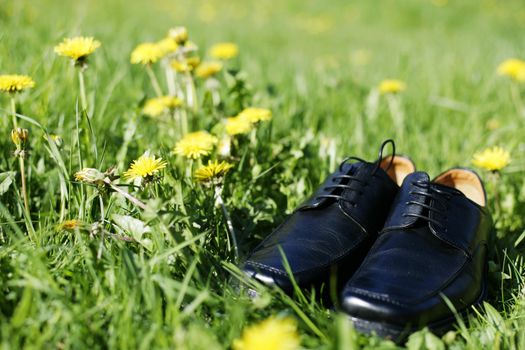 black business shoes in a spring field