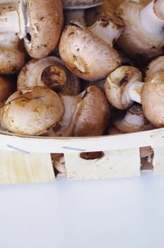 fresh brown button field mushroom on white